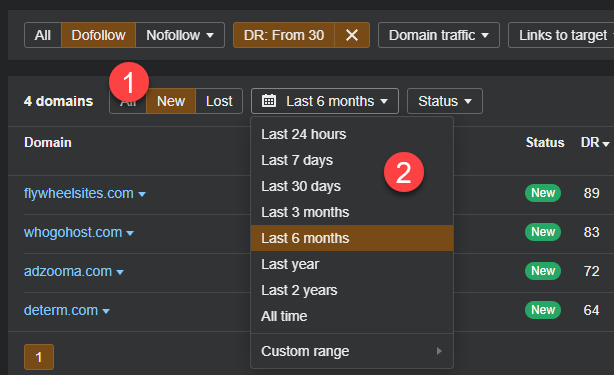 filter the NewReferring Domains